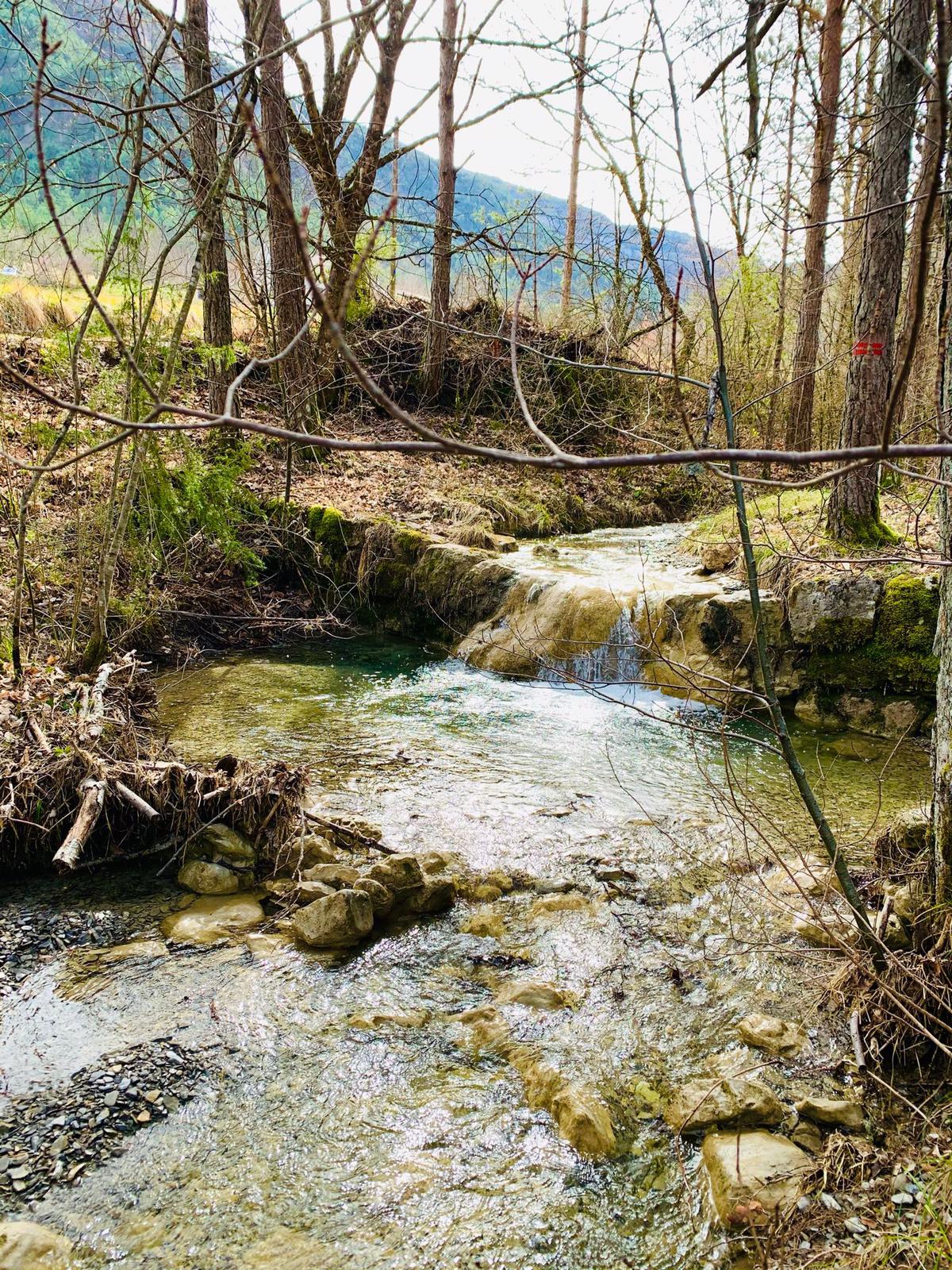 Ruisseau proche du gîte